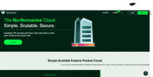 Webdock Review
